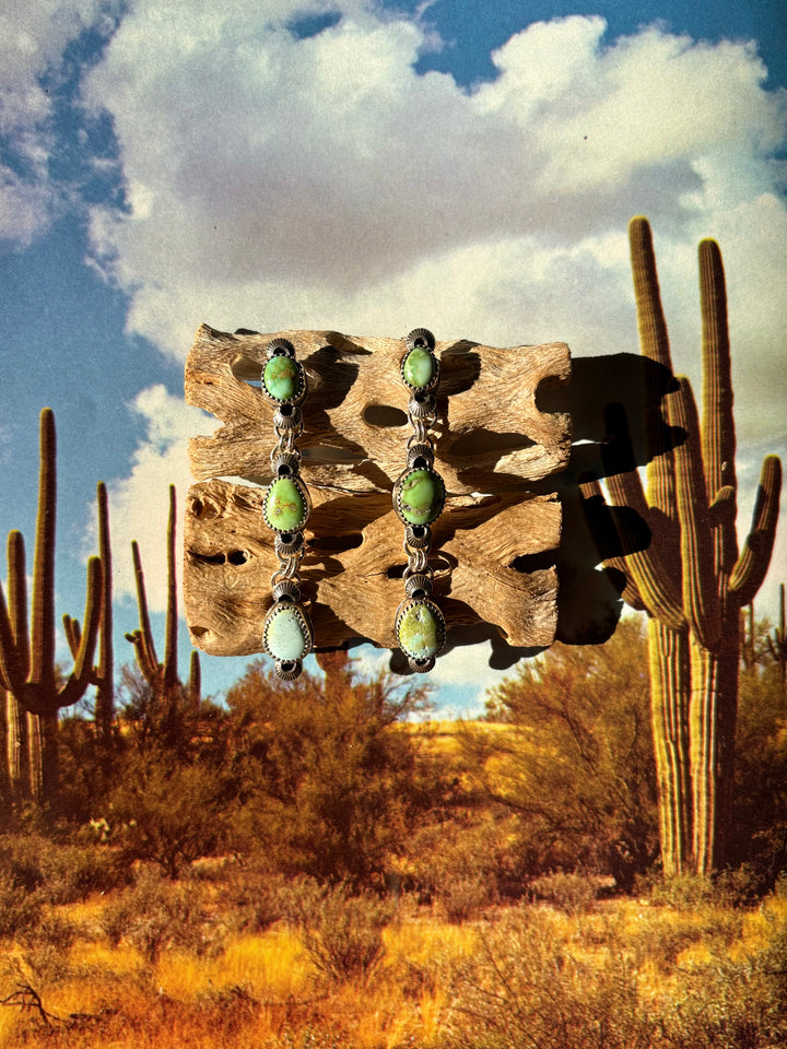 Wild Verde