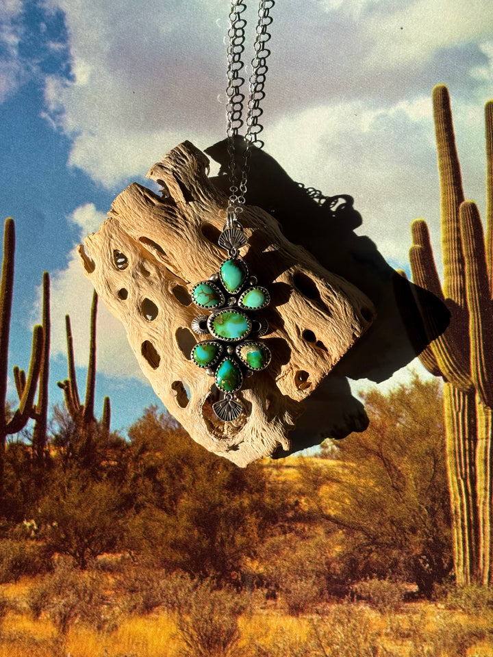 Sonoran Sunset